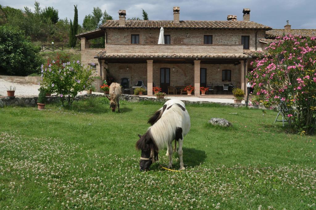 Farm Stay Il Carro Del Colle Collevalenza Exterior photo